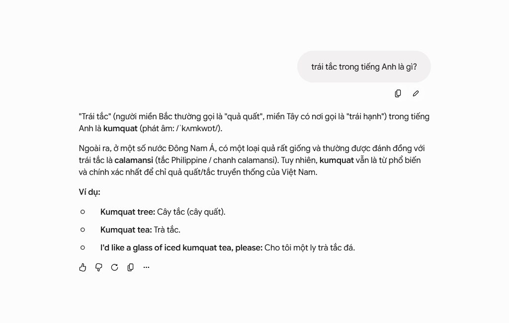 Gemini 3.1 Pro, asked what trái tắc is in English while writing this: kumquat, the decade-old error inherited whole. · Taken 14 July 2026. Screenshot of Gemini answering that trái tắc is kumquat in English